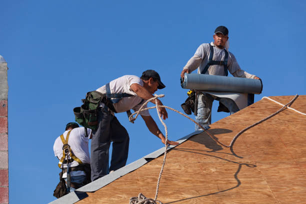 Best Local Roofing Companies  in Mount Pleasant, TX